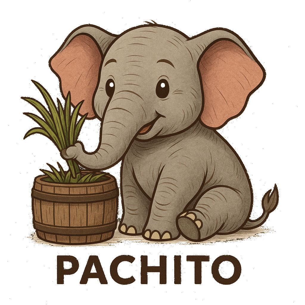 Pachito the Elephant Mascot